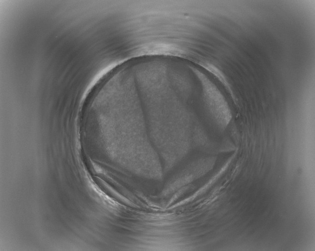 X0000078031120200611251548