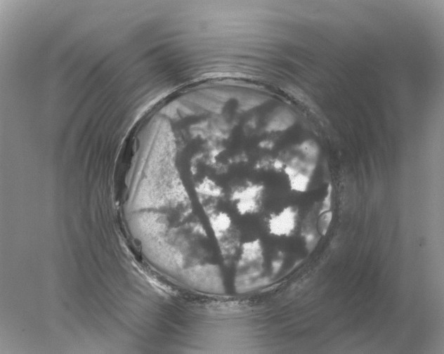 X0000078031121200611251548