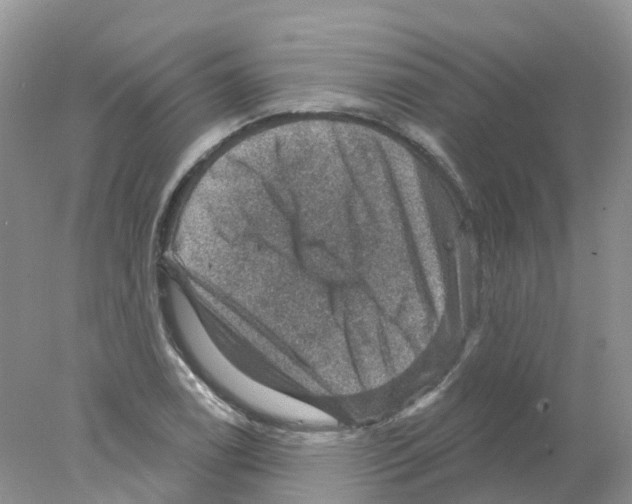 X0000078031122200611251548