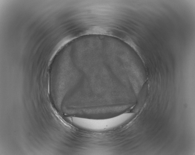 X0000078031123200611251548