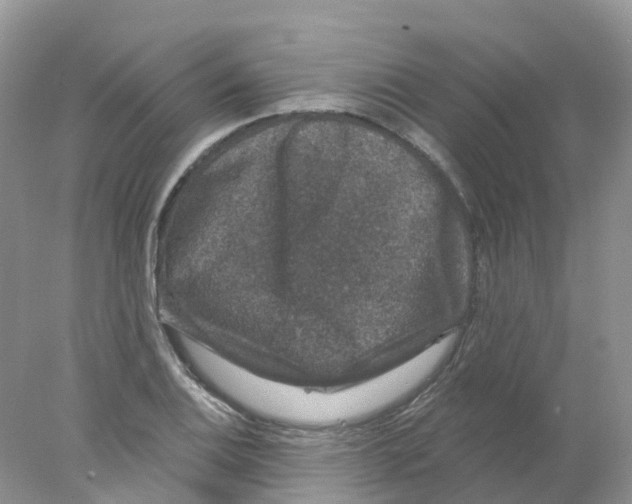 X0000078031124200611251548