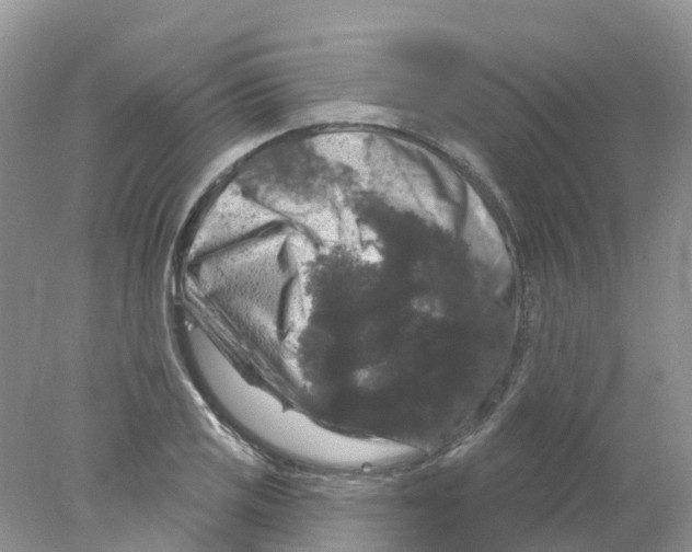 X0000078031125200611251548