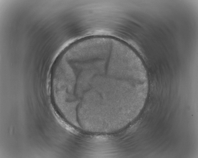 X0000078031126200611251548