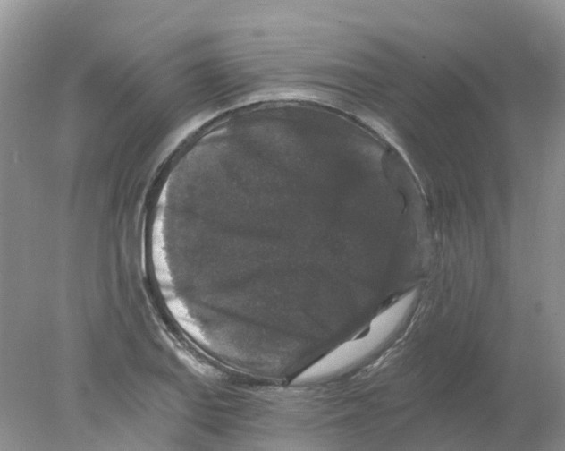 X0000078031127200611251548