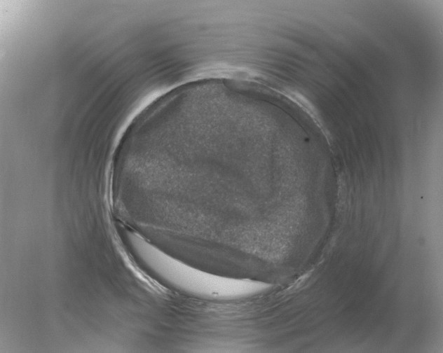 X0000078031128200611251548