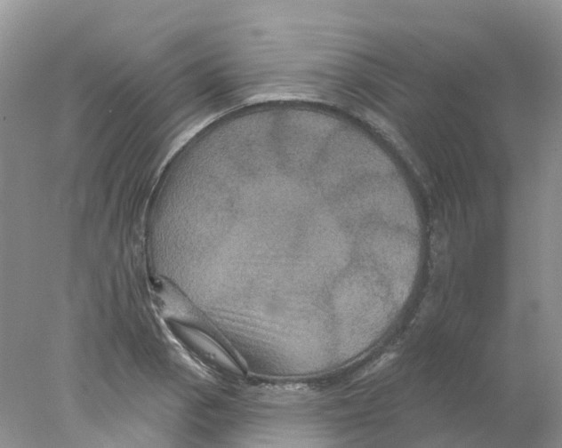 X0000078031129200611251548