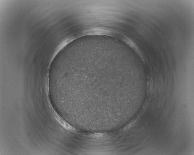 X0000078031130200611251549