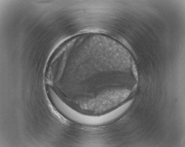 X0000078031132200611251549