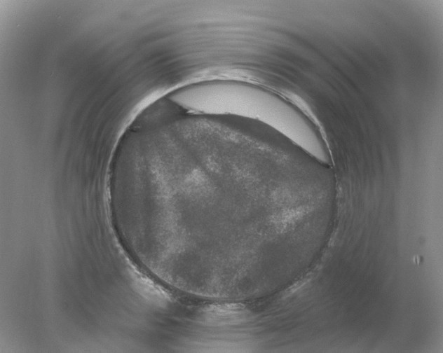 X0000078031133200611251549