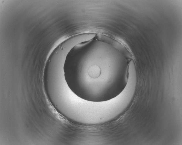 X0000078031138200611251549