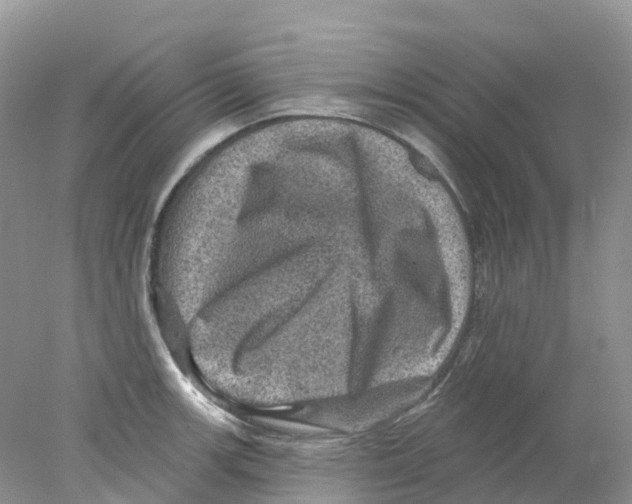 X0000078031139200611251549