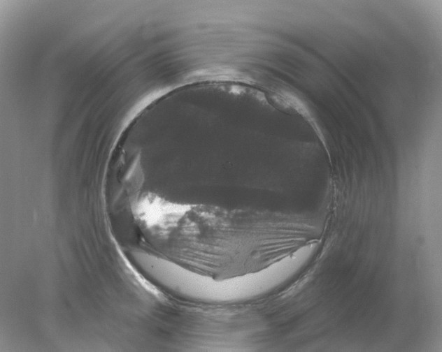 X0000078031141200611251549