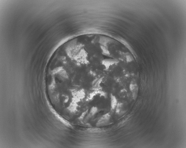 X0000078031142200611251549