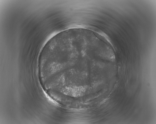 X0000078031143200611251549