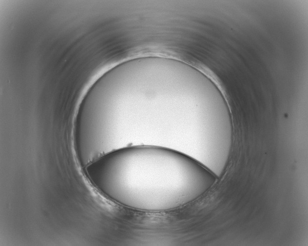 X0000078031144200611251549