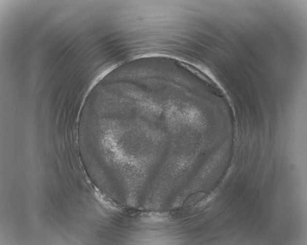 X0000078031145200611251549