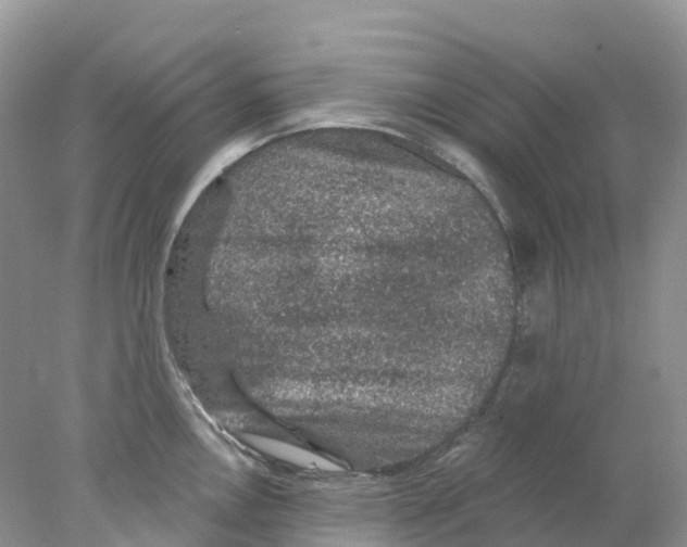 X0000078031146200611251549