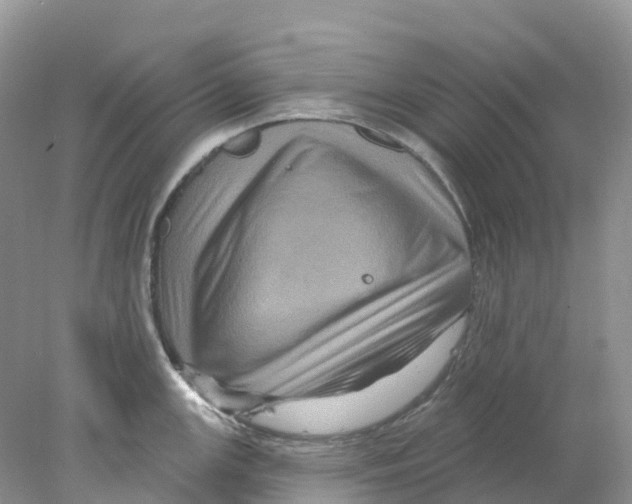 X0000078031147200611251549