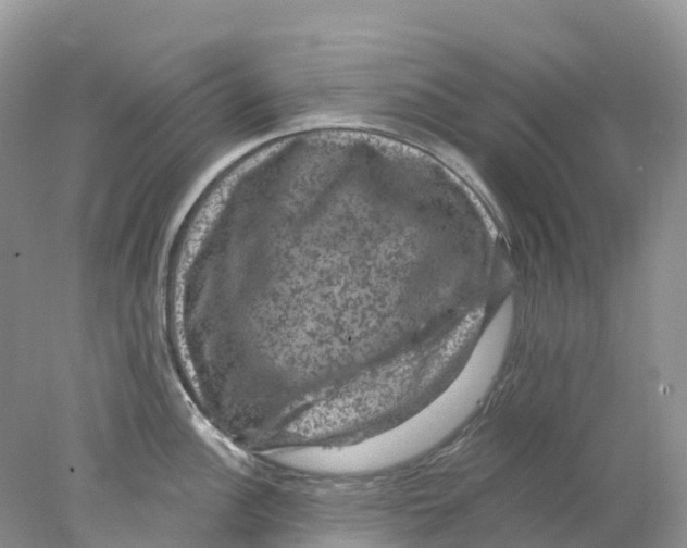 X0000078031148200611251549