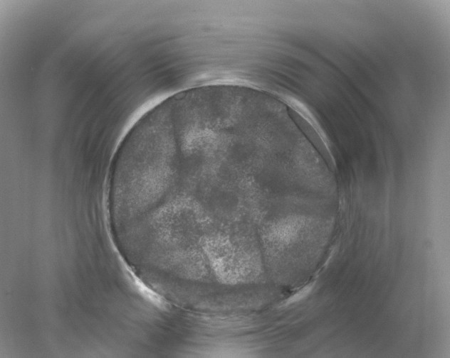 X0000078031149200611251549