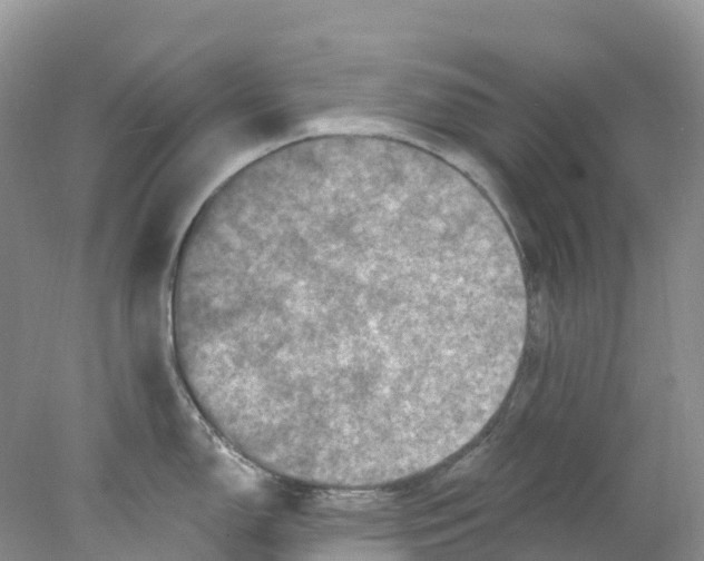 X0000078031150200611251549