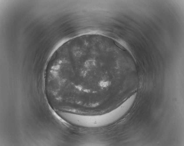 X0000078031151200611251549