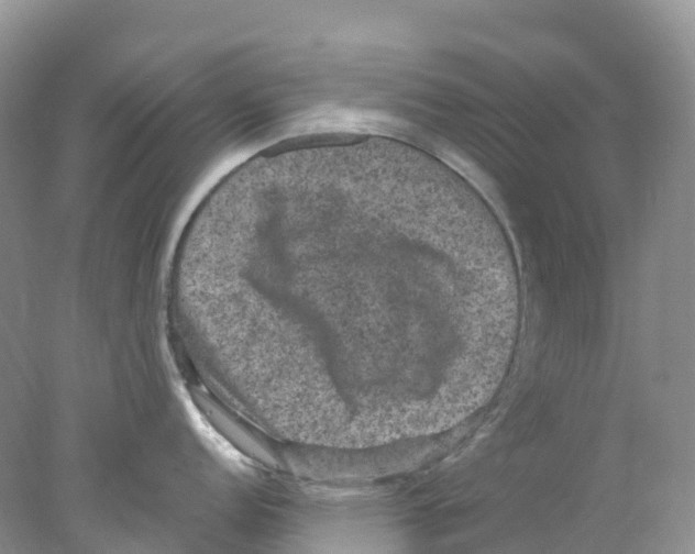 X0000078031152200611251549