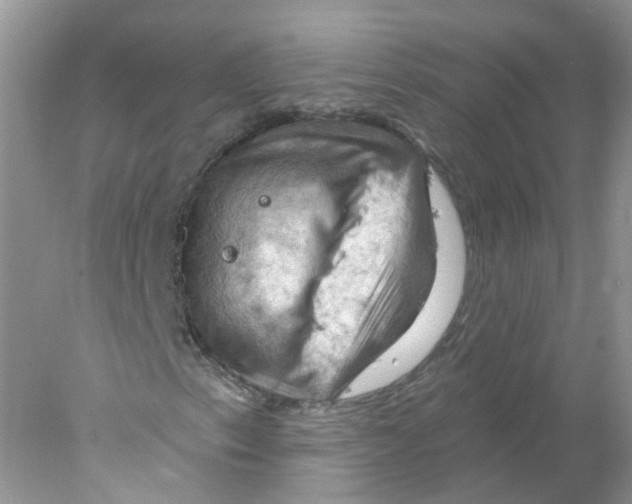 X0000078031153200611251548