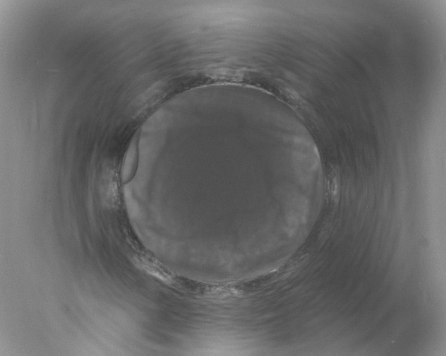 X0000078031154200611251548