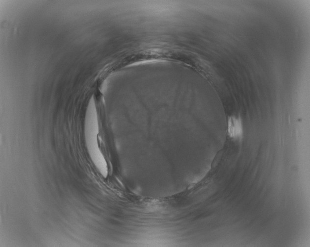 X0000078031155200611251548