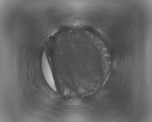 X0000078031156200611251548