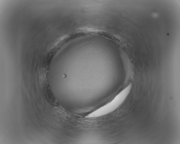 X0000078031157200611251548