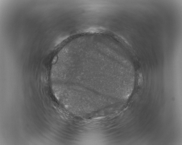 X0000078031158200611251548