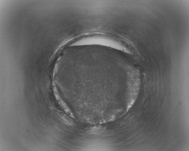 X0000078031160200611251548