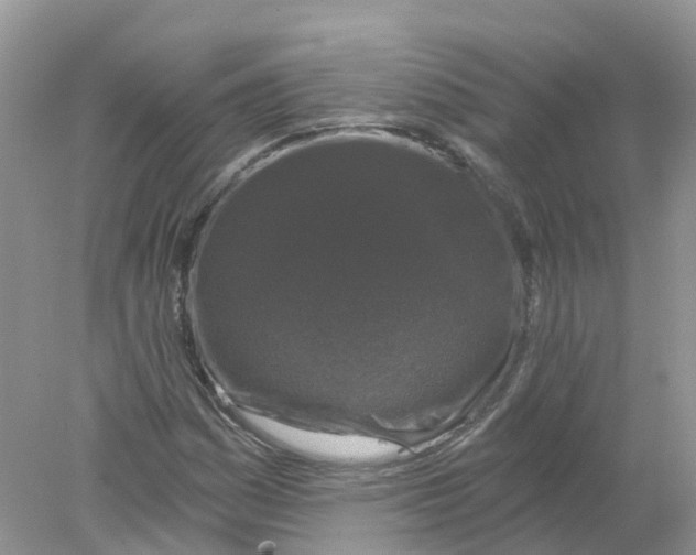 X0000078031161200611251548