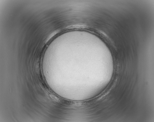 X0000078031162200611251548