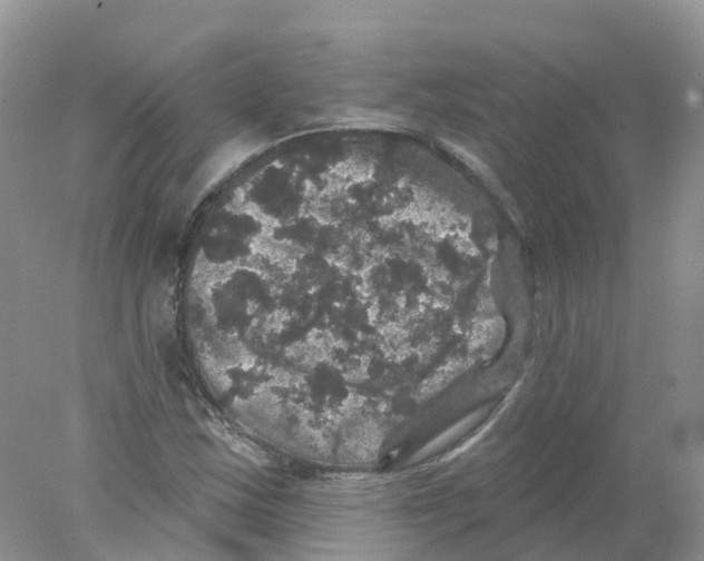 X0000078031163200611251548