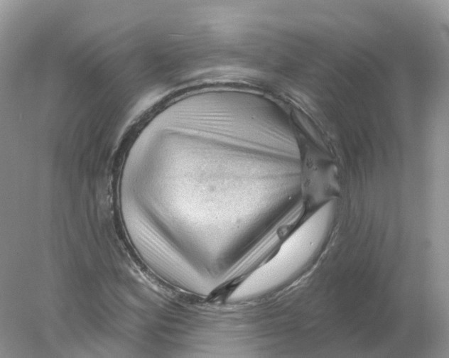 X0000078031164200611251548