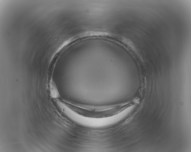 X0000078031165200611251548