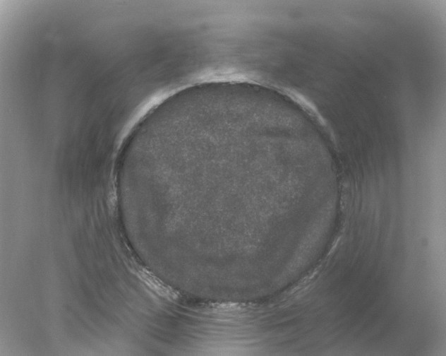 X0000078031167200611251548