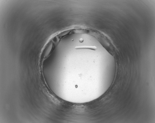 X0000078031168200611251548