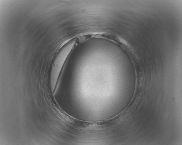 X0000078031169200611251548