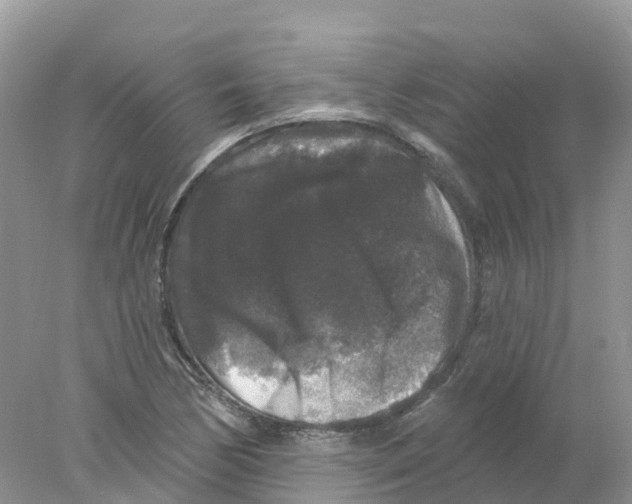 X0000078031170200611251548