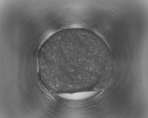 X0000078031171200611251548