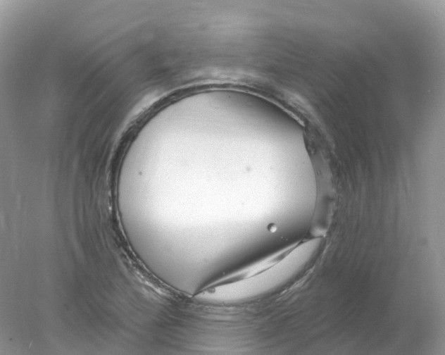 X0000078031172200611251548