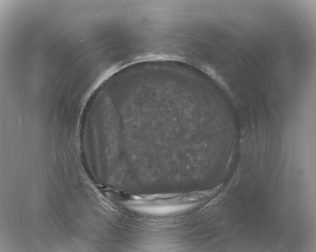 X0000078031173200611251548