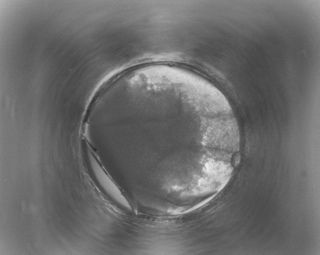 X0000078031174200611251548