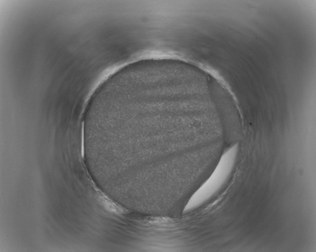 X0000078031175200611251548