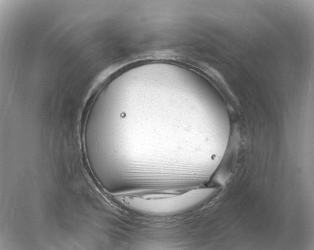 X0000078031176200611251548