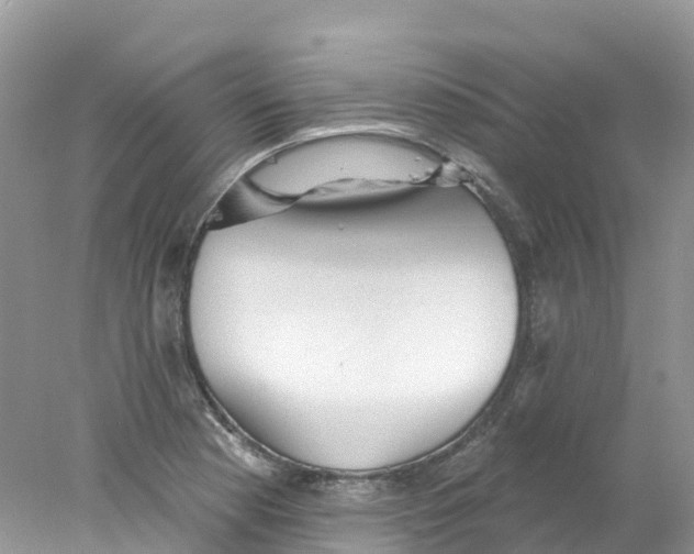 X0000078031177200611251548